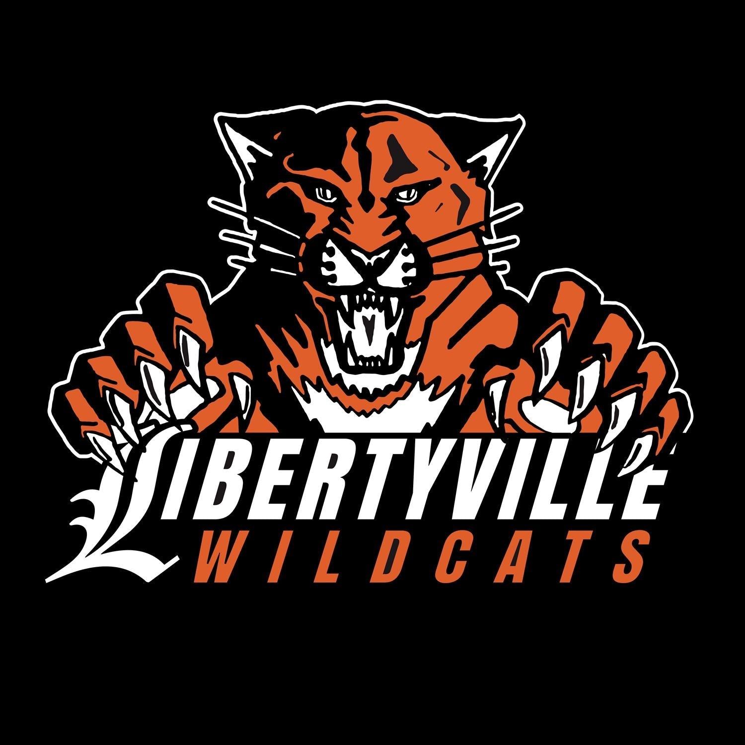 LIBERTYVILLE HIGH SCHOOL