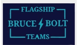 ACES Softball BLACK - V NECK