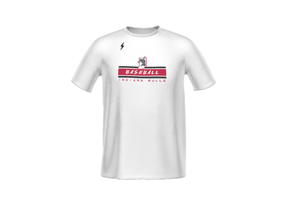 INDIANA BULLS BASEBALL